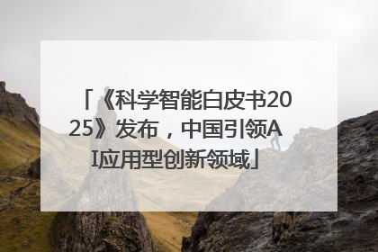 《科学智能白皮书2025》发布，中国引领AI应用型创新领域