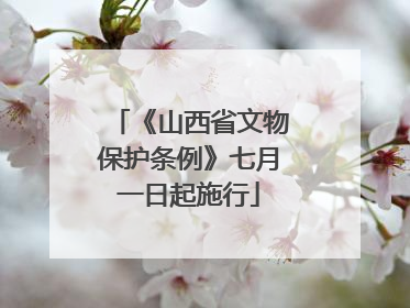 《山西省文物保护条例》七月一日起施行