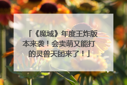 《魔域》年度王炸版本来袭！会卖萌又能打的灵兽天团来了！