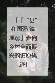 「“县”在图强·镇原③」走向乡村全面振兴的镇原轨迹