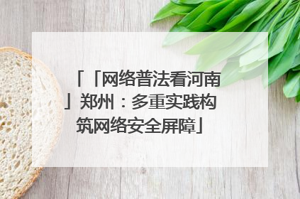 「网络普法看河南」郑州：多重实践构筑网络安全屏障