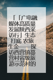 「广电融媒体高质量发展陕西采访行」生态打底 农旅生金——探访西营镇蔓营村省级旅游示范村的振兴密码