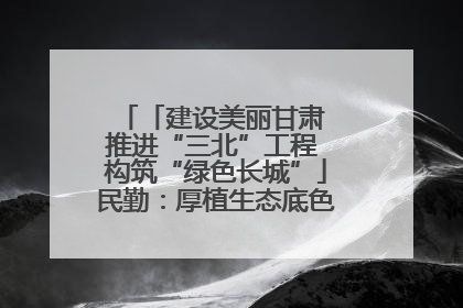 「建设美丽甘肃 推进“三北”工程 构筑“绿色长城”」民勤：厚植生态底色 筑牢绿色屏障