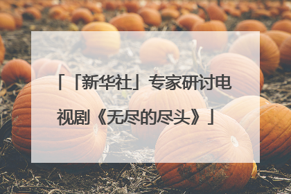 「新华社」专家研讨电视剧《无尽的尽头》