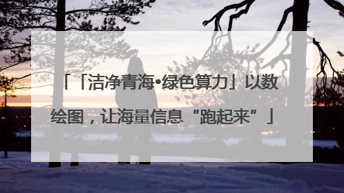 「洁净青海•绿色算力」以数绘图，让海量信息“跑起来”