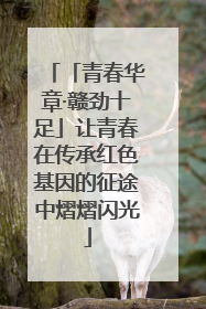 「青春华章·赣劲十足」让青春在传承红色基因的征途中熠熠闪光