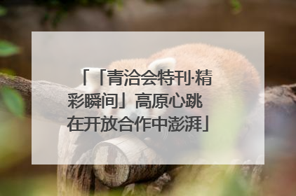 「青洽会特刊·精彩瞬间」高原心跳 在开放合作中澎湃