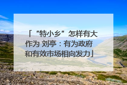 “特小乡”怎样有大作为 刘亭：有为政府和有效市场相向发力