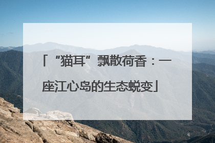 “猫耳”飘散荷香：一座江心岛的生态蜕变