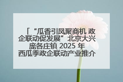 “瓜香引凤聚商机 政企联动促发展”北京大兴庞各庄镇 2025 年西瓜季政企联动产业推介活动圆满举行