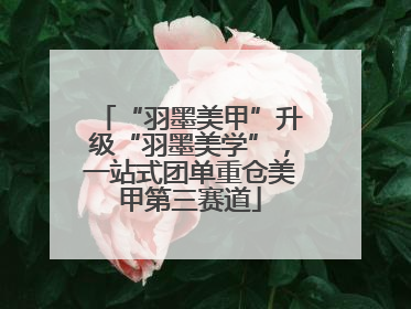 “羽墨美甲”升级“羽墨美学”，一站式团单重仓美甲第三赛道