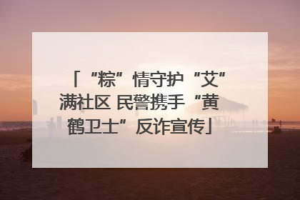 “粽”情守护“艾”满社区 民警携手“黄鹤卫士”反诈宣传