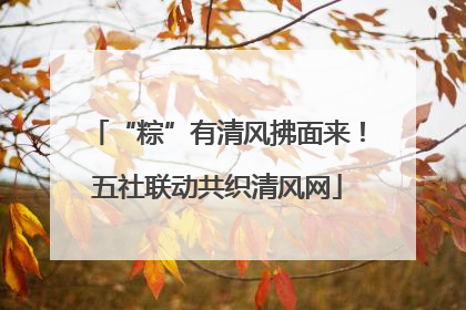 “粽”有清风拂面来！五社联动共织清风网