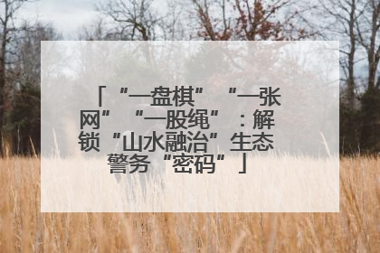 “一盘棋”“一张网”“一股绳”：解锁“山水融治”生态警务“密码”