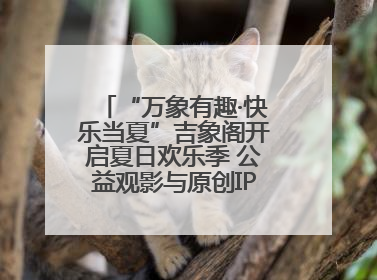 “万象有趣·快乐当夏”吉象阁开启夏日欢乐季 公益观影与原创IP首秀温暖全城