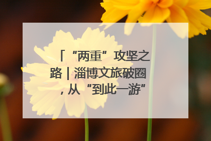 “两重”攻坚之路｜淄博文旅破圈，从“到此一游”到“沉浸其中”