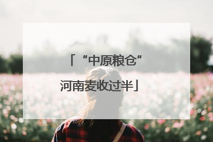 “中原粮仓”河南麦收过半