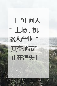 “中间人”上场，机器人产业“真空地带”正在消失