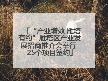 “产业增效 雁塔有约”雁塔区产业发展招商推介会举行 25个项目签约