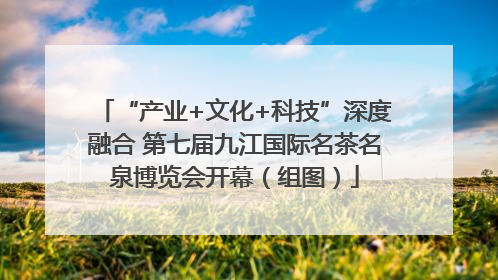“产业+文化+科技”深度融合 第七届九江国际名茶名泉博览会开幕（组图）