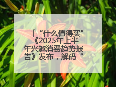 “什么值得买”《2025年上半年兴趣消费趋势报告》发布，解码“心价比”时代兴趣消费新范式