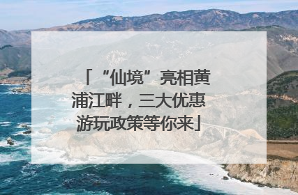 “仙境”亮相黄浦江畔，三大优惠游玩政策等你来