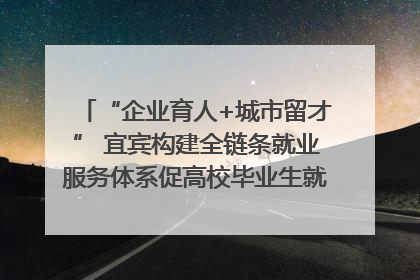 “企业育人+城市留才” 宜宾构建全链条就业服务体系促高校毕业生就业｜您牵挂的四川