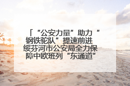 “公安力量”助力“钢铁驼队”提速前进 绥芬河市公安局全力保障中欧班列“东通道”绥芬河隧道贯通