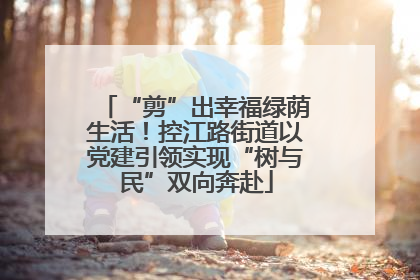 “剪”出幸福绿荫生活！控江路街道以党建引领实现“树与民”双向奔赴