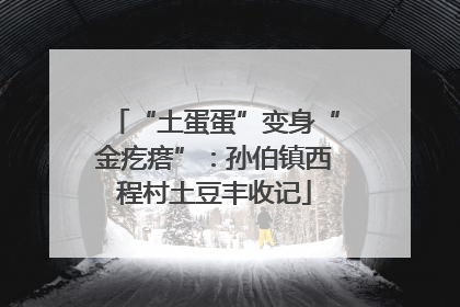 “土蛋蛋”变身“金疙瘩”：孙伯镇西程村土豆丰收记