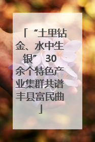 “土里钻金、水中生银” 30余个特色产业集群共谱丰县富民曲