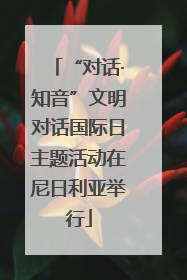“对话·知音”文明对话国际日主题活动在尼日利亚举行