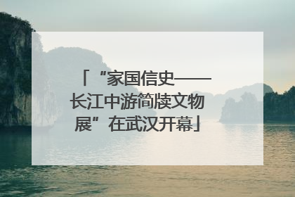 “家国信史——长江中游简牍文物展”在武汉开幕