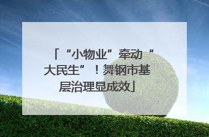 “小物业”牵动“大民生”！舞钢市基层治理显成效