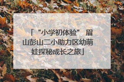 “小学初体验” 眉山彭山二小助力区幼萌娃探秘成长之旅