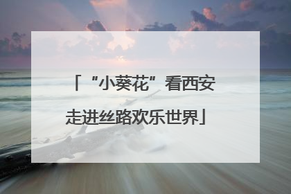 “小葵花”看西安走进丝路欢乐世界