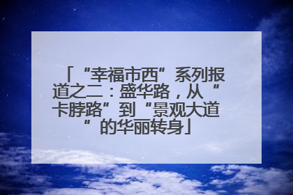 “幸福市西”系列报道之二：盛华路，从“卡脖路”到“景观大道”的华丽转身