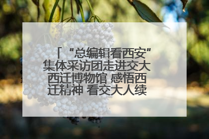 “总编辑看西安”集体采访团走进交大西迁博物馆 感悟西迁精神 看交大人续写爱国奋斗新篇章