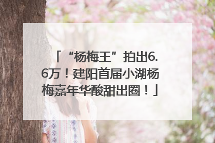 “杨梅王”拍出6.6万！建阳首届小湖杨梅嘉年华酸甜出圈！