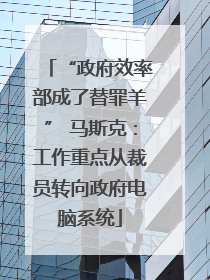 “政府效率部成了替罪羊” 马斯克：工作重点从裁员转向政府电脑系统