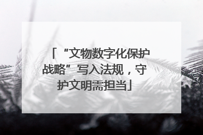 “文物数字化保护战略”写入法规，守护文明需担当