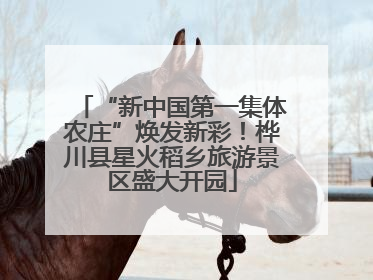 “新中国第一集体农庄”焕发新彩！桦川县星火稻乡旅游景区盛大开园