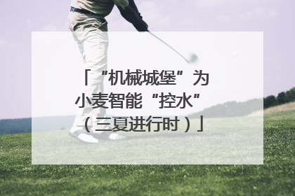 “机械城堡”为小麦智能“控水”（三夏进行时）