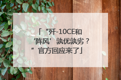 “歼-10CE和‘阵风’孰优孰劣？”官方回应来了