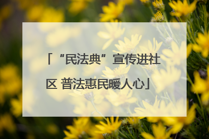 “民法典”宣传进社区 普法惠民暖人心