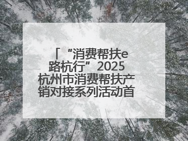 “消费帮扶e 路杭行”2025杭州市消费帮扶产销对接系列活动首场活动圆满收官