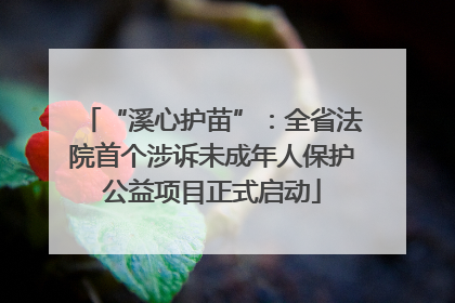“溪心护苗”：全省法院首个涉诉未成年人保护公益项目正式启动