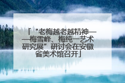 “老梅越老越精神——梅雪峰、梅纯一艺术研究展”研讨会在安徽省美术馆召开