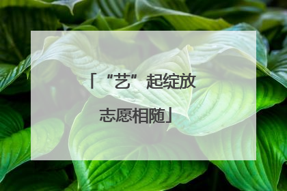 “艺”起绽放 志愿相随