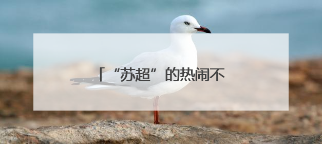 “苏超”的热闹不只是因为踢得好